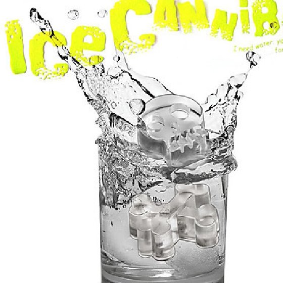 Gelo em formato de caveira - Loja Eu Faço a Festa