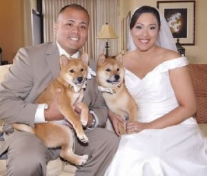 Cães em festas de casamento
