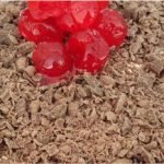 Receita de bolo floresta negra