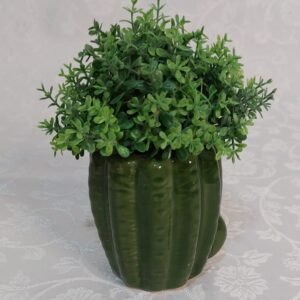 Vasinho decorativo cacto