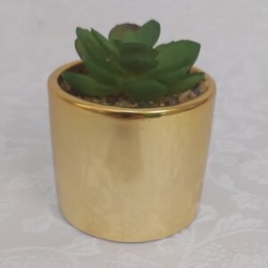 Vasinho dourado com suculenta