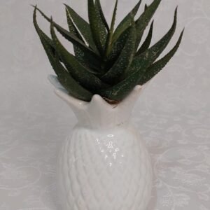 Vasinho Abacaxi com Suculenta