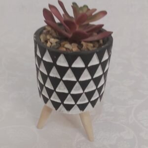 Vasinho pé palito com Suculenta