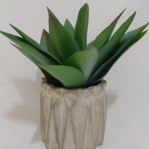 Vaso de cimento com arranjo folhas