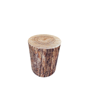 Capa de cilindro tronco P