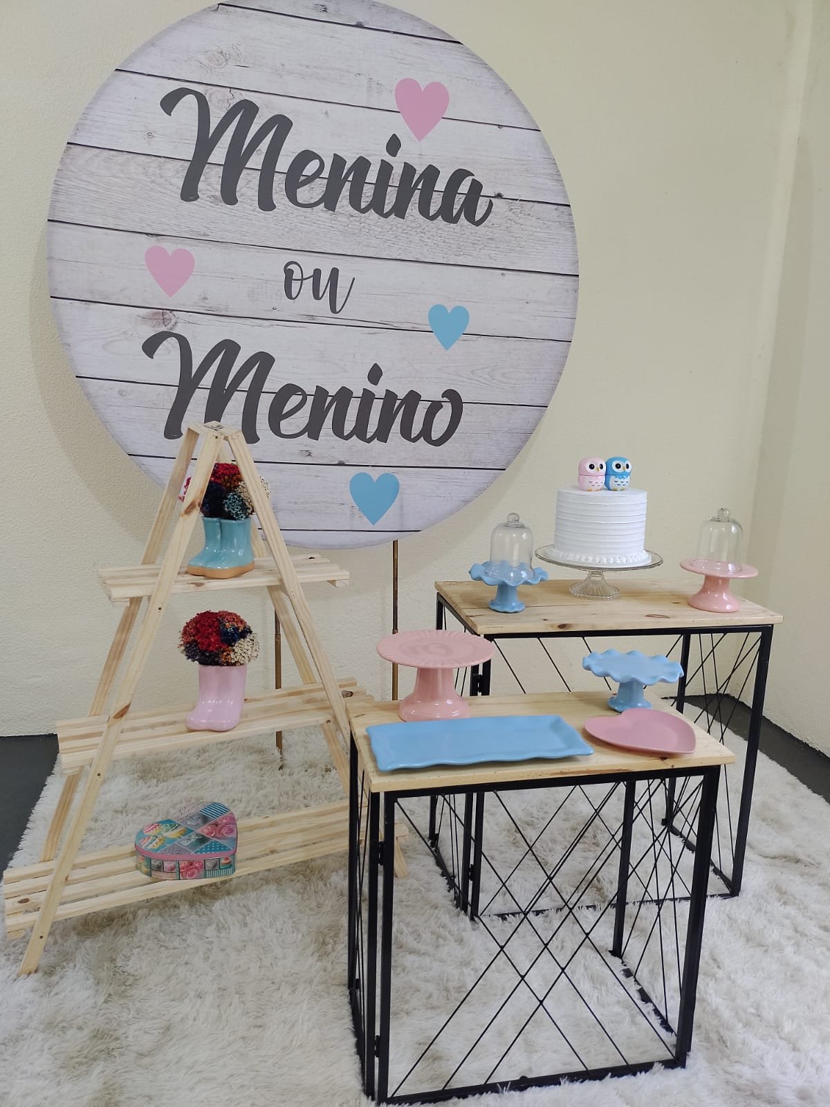 Kit festa chá revelação